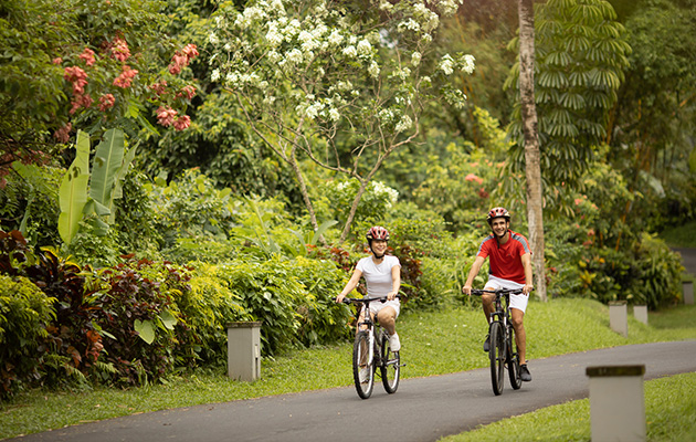 Cycling Tour