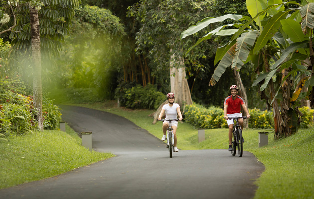 Cycling Tour