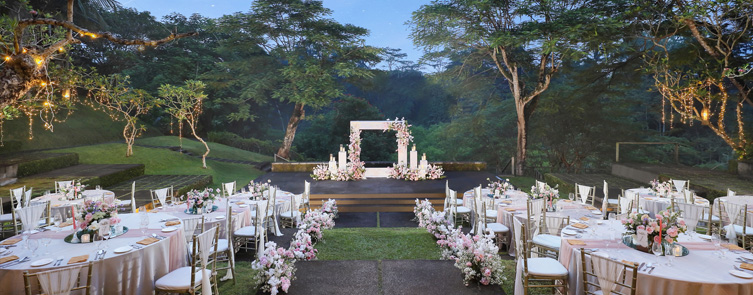 The Amphitheatre Reception Set Up