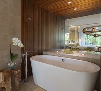 Impressive Nest Suite - Bathtub