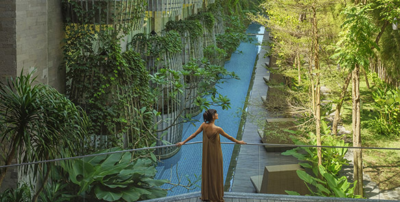 Lagoon Pool - Signature Maya Sanur View