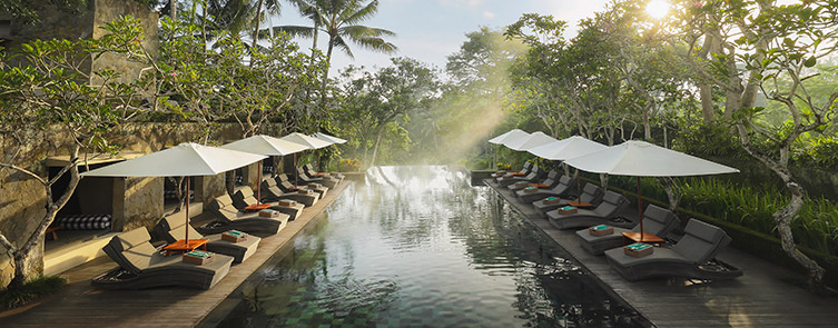 Main Swimming Pool - Infinite Views of the Ubud Valley