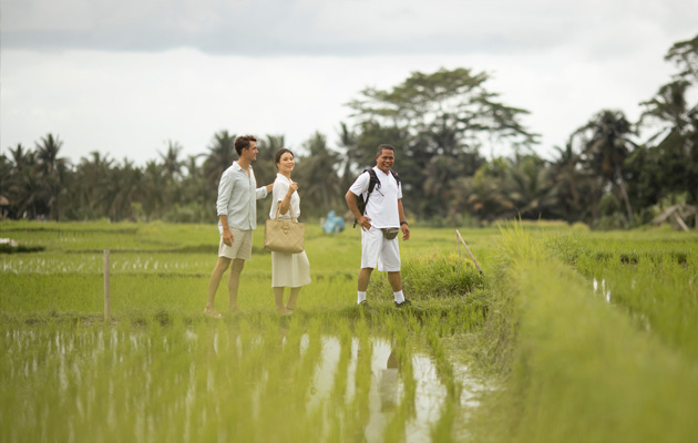 Rice Paddy Walk - A Guided Paddy Walk