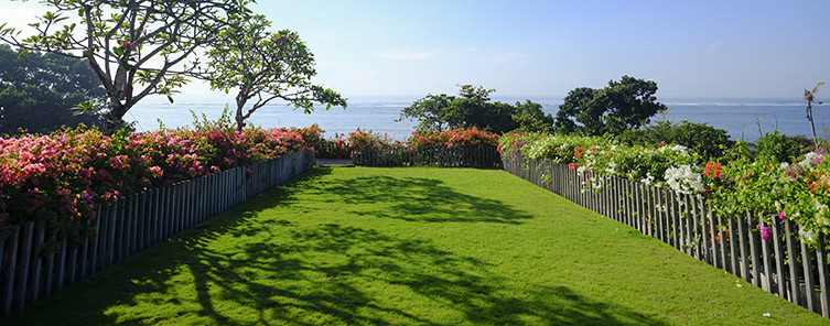 Rooftop garden