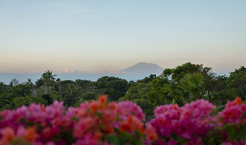 Rooftop garden - Endless majestic views