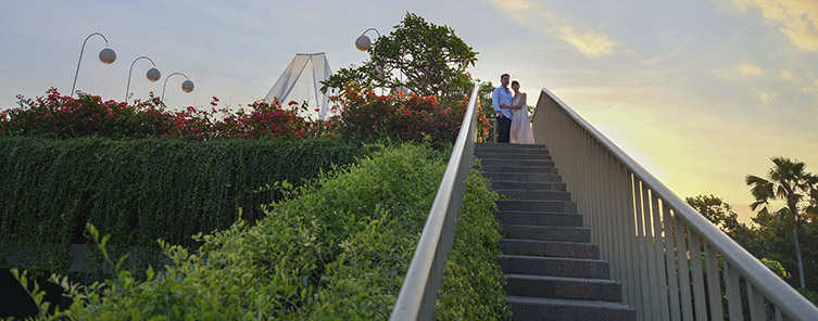 Rooftop garden - Revel in Bliss