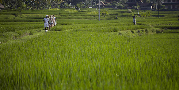 Village Trekking