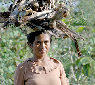 Female Balinese - Balancing Skill