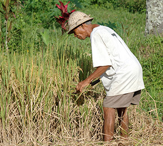 Harvesting