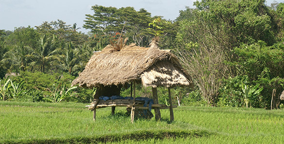 Farmer Gazebo